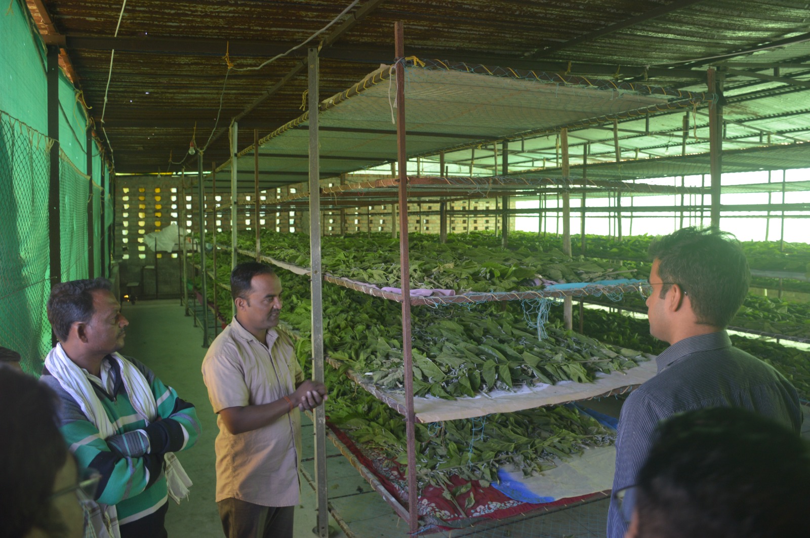 जिल्हाधिकारी यांचा नेर दौराविविध विभागांच्या कामकाजाचा सविस्तर आढावा योजनांची अंमलबजावणी प्रभावीपणे करा -जिल्हाधिकारी विकास मीना