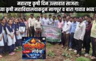 उमरखेड येथील कृषी महाविद्यालयात 'महाराष्ट्र कृषी दिन' उत्साहात साजरा; नागापूर आणि बारा येथे भव्य वृक्षारोपण